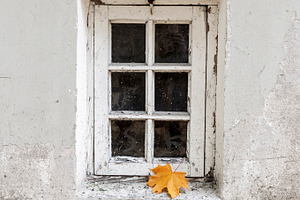Window and lonely maple leaf, a Nature Photo by BOOCYS