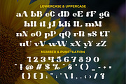 Hippie Vintage - Vintage Sans Font, a Sans Serif Font by PutraCetol Studio (Thumbnail 8 of 11)