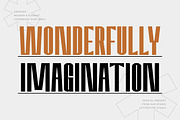 Amvergo Modern Sans Family, a Sans Serif Font by Lettertype Studio (Thumbnail 16 of 18)