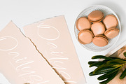 Rusttesa Freshlis, a Handwritten Font by operatype.co (Thumbnail 7 of 15)