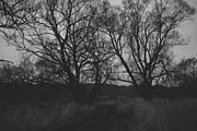 Mood collection, a Photo by Alekseyliss (Thumbnail 9 of 21)