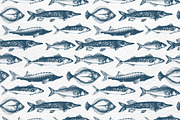 Fish Vector Collection, an Animal Illustration by Lubov Illustrations Shop (Thumbnail 6 of 6)