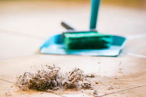 Dustpan And Brush, a Photo by THP Creative