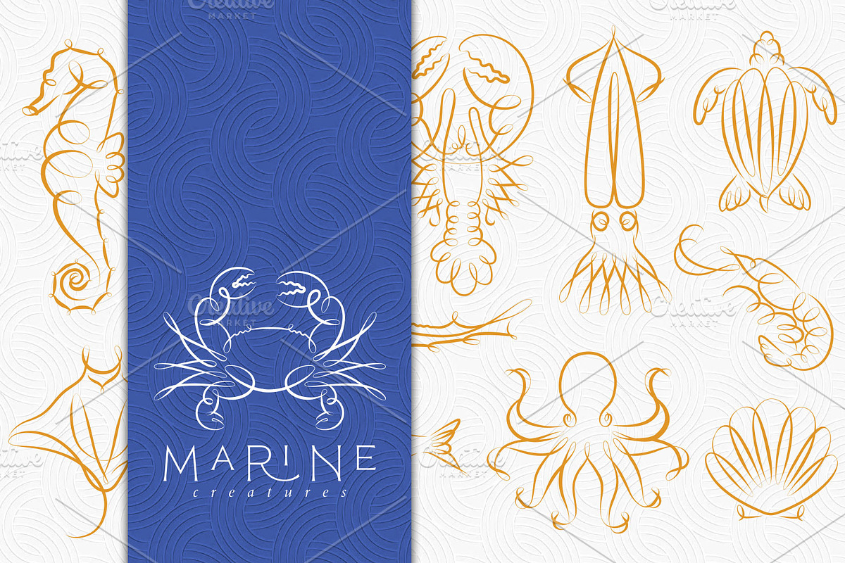 Marine Creatures, an Animal Illustration by Anna (Photo 1 of 6)