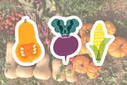 Organic Food Packaging Kit, a Food Illustration by Schumacher Shop (Thumbnail 19 of 25)