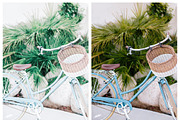 Natural Lightroom Mobile Preset, an Action Add-On by Lux Light (Thumbnail 26 of 28)