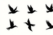 Flying Bird Silhouette Bundle, an Illustration by Creativeshirt (Thumbnail 10 of 10)