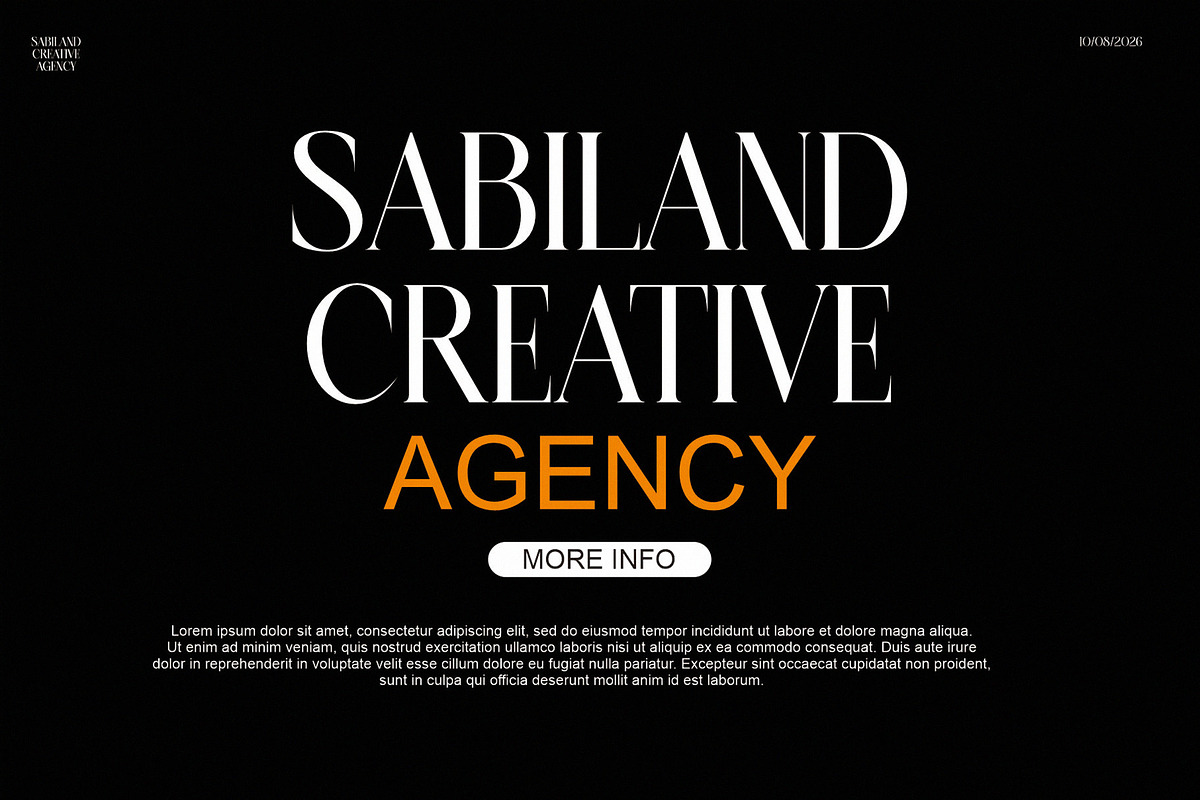SALLINE — Modern Serif Typeface, a Serif Font by Alfinart (Photo 5 of 7)