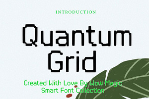 Quantum Grid, a Serif Font by Wow Magic