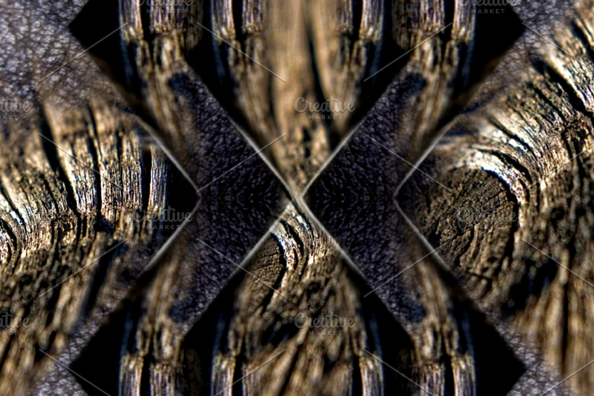Textures trees and leather, a Design Template by The black alabaster