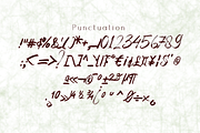 His Embrace Texture Brush, a Script Font by SSI.Scraps (Thumbnail 9 of 11)