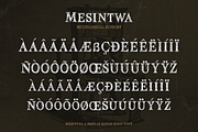 Mesintwa, a Serif Font by ilhamtaro (Thumbnail 9 of 10)