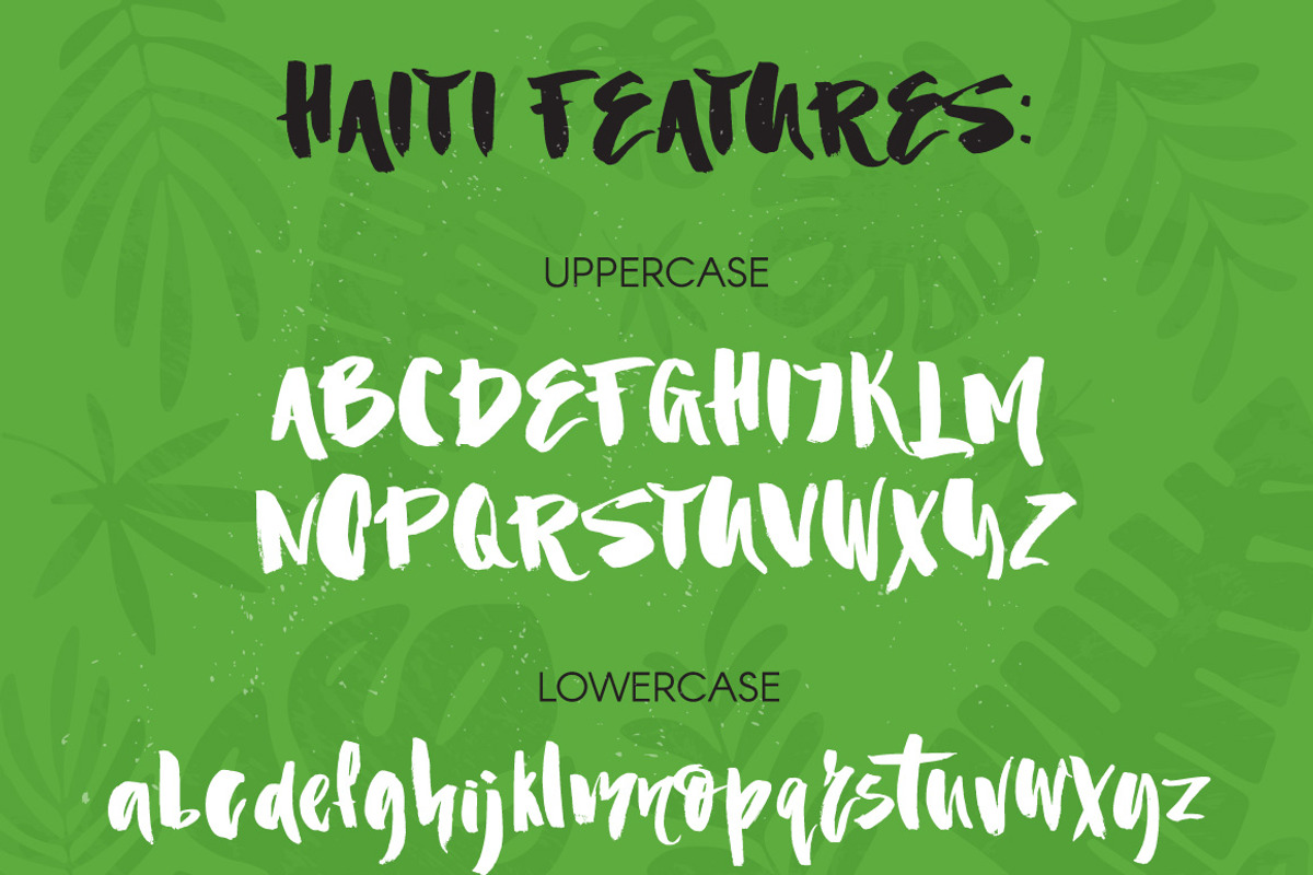 Haiti Organic Brush Font +Extras, a Script Font by Favete Art (Photo 3 of 11)