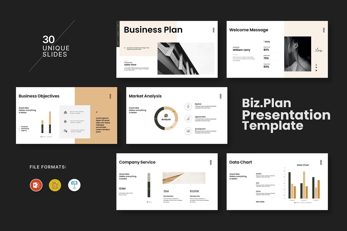 Business Plan Presentation Template, a Presentation Template by slidestock55 (Photo 1 of 10)