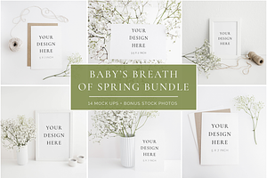 Baby's Breath Of Spring Bundle