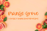 Orange Grove Script, a Script Font by Beck McCormick (Thumbnail 1 of 4)