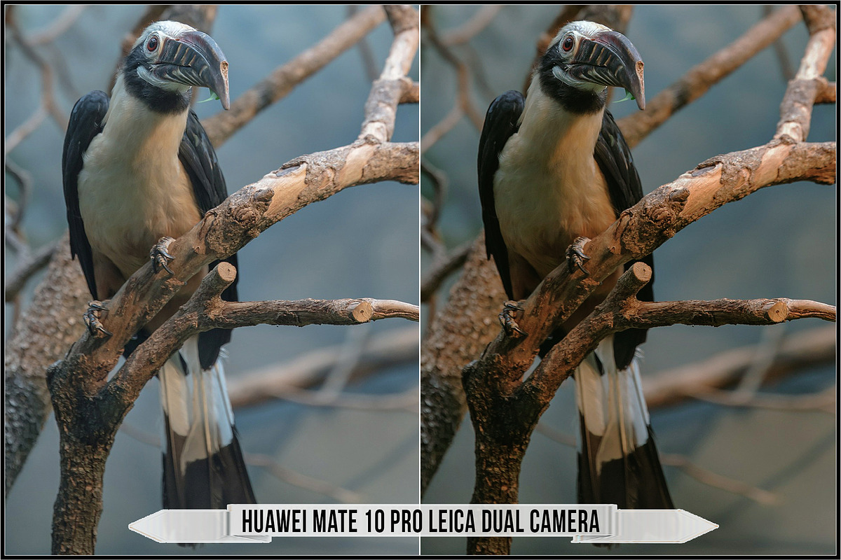 Huawei Colors & Filters profiles preview 6
