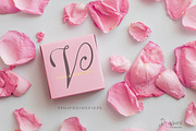 Fancy Script Monogram svg cut 107, an Object Graphic by Drawberx (Thumbnail 7 of 9)
