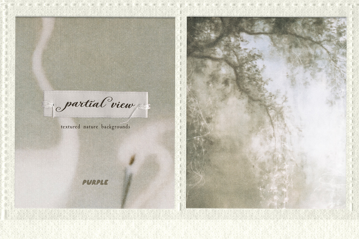 Partial View - Nature Backgrounds, a Background Graphic by Purple (Photo 1 of 12)