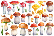 Mushrooms Forest watercolor painting, an Object Illustration by Hanna Hryharenka (Thumbnail 3 of 11)