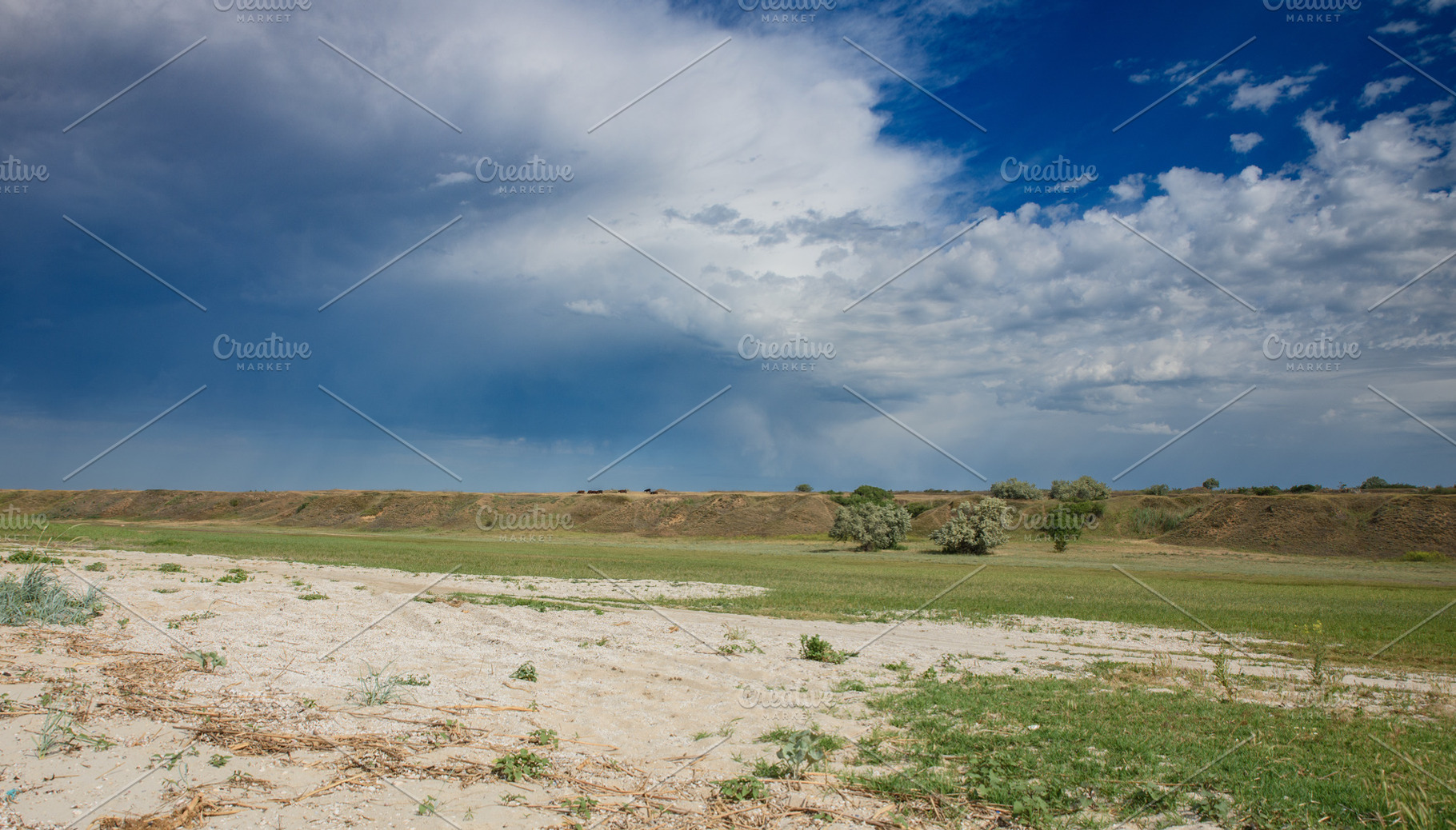 Wide steppe landscape of Kherson region, Ukraine with a low hori, a Nature Photo by ndanko