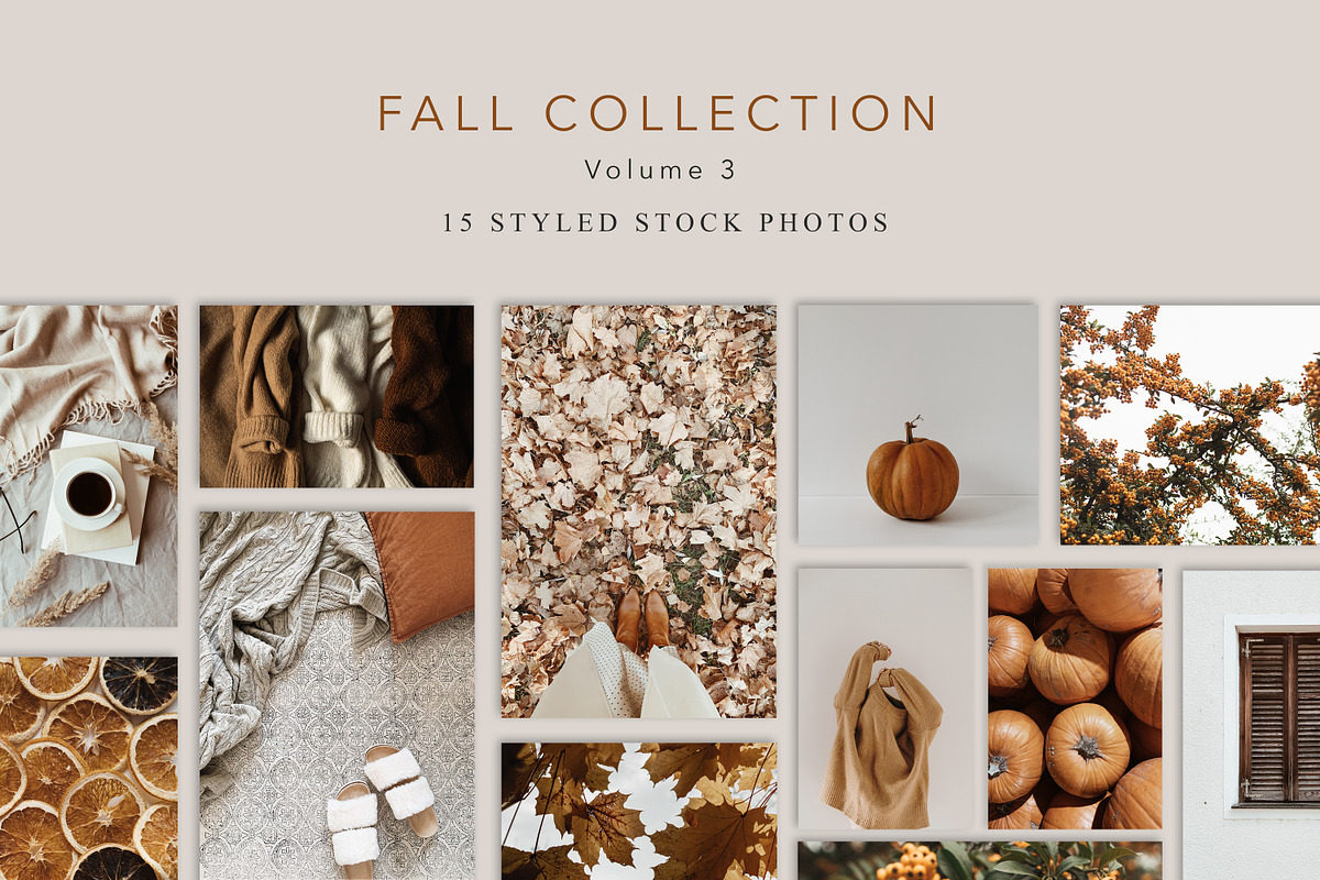 Fall Collection 3, a Beauty & Fashion Photo by Floral Deco (Photo 1 of 8)