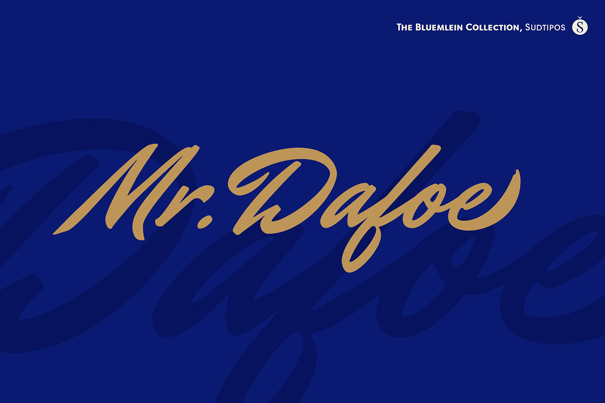 Mr Dafoe Pro