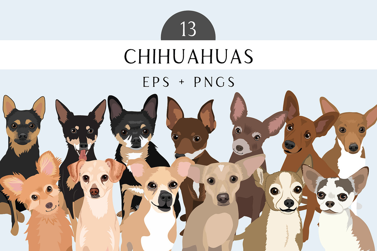 Chihuahua Vector Clip Art Bundle, an Illustration by Putnam Road Art (Photo 1 of 3)