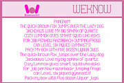 Everything Perfect font, a Serif Font by weknow (Thumbnail 6 of 8)