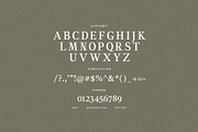 Miecle Wiklen - Elegant Serif Font, a Serif Font by Graphicxell (Thumbnail 8 of 8)