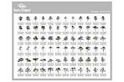 72 Tall Trees Photo Overlays, a Person Photo by KenScape (Thumbnail 3 of 4)