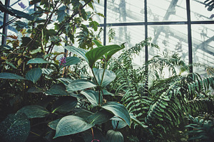 iseeyouphoto kew glasshouse 1