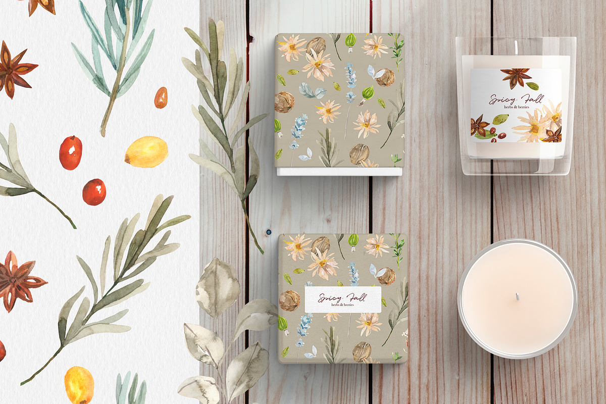 Spicy Fall herbs & berries, a Decorative Illustration by Volha Studio (Photo 4 of 9)