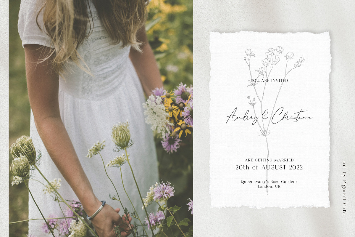 Meadow Flowers Bundle volume 2, an Illustration by Pigment Café (Photo 5 of 6)