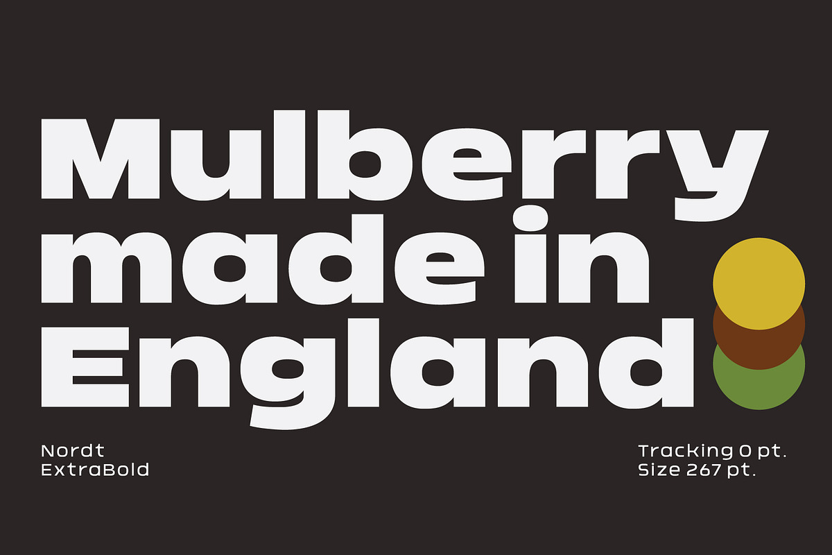 Nordt, a Sans Serif Font by Typesketchbook Foundry (Photo 2 of 5)