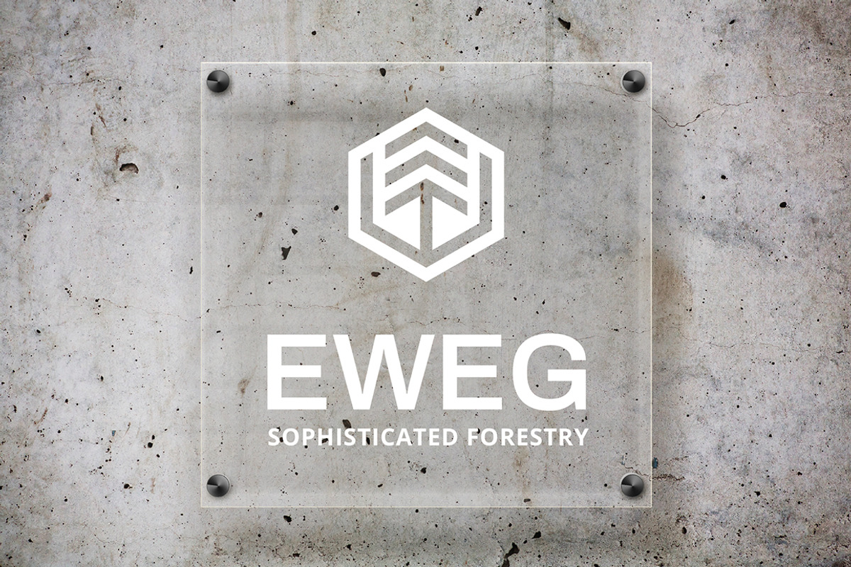 Eweg Fir Tree Wood Forest Logo, a Branding & Logo Template by Tovarkovdesign (Photo 2 of 6)