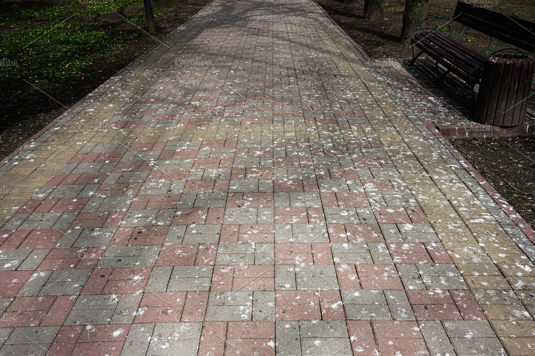 Brick paved path with bird droppings, outdoor benches in a serene park setting, a Photo by AS photostudio