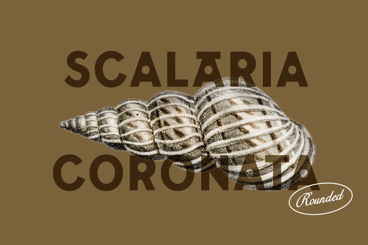 Vacationland, a Sans Serif Font by Abby Swain Design (Photo 7 of 10)