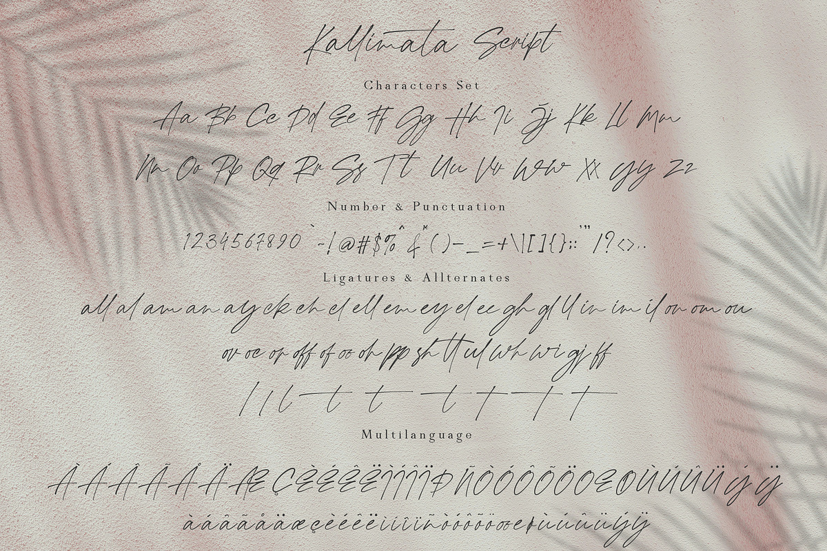 Modern Kallimata, a Script Font by Ardyanatypes (Photo 10 of 13)