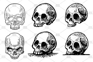 Skull human. Engraving vintage, a Person Illustration by MoreVector