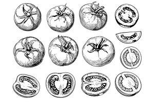 Sketch tomato. Hand drawn harvest, a Food Illustration by Stock-Smart-Start