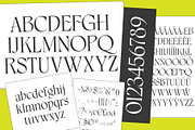 Belma, a Serif Font by Adam Fathony (Thumbnail 13 of 14)