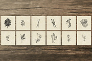 150 Hand Drawn Elements -Nature III-, an Animal Illustration by Michael Rayback Design (Thumbnail 8 of 15)