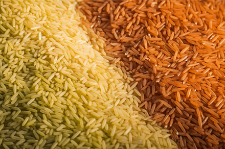 Different rice piles. Generate Ai, a Food & Drink Photo by Ylivdesign