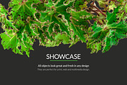 Green Stuff - flowers, trees, plants, a Mockup by byDimas (Thumbnail 5 of 5)