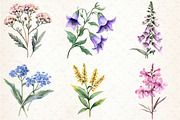 Watercolor Wild Flower Clipart, an Illustration by Libby Wishes (Thumbnail 4 of 7)