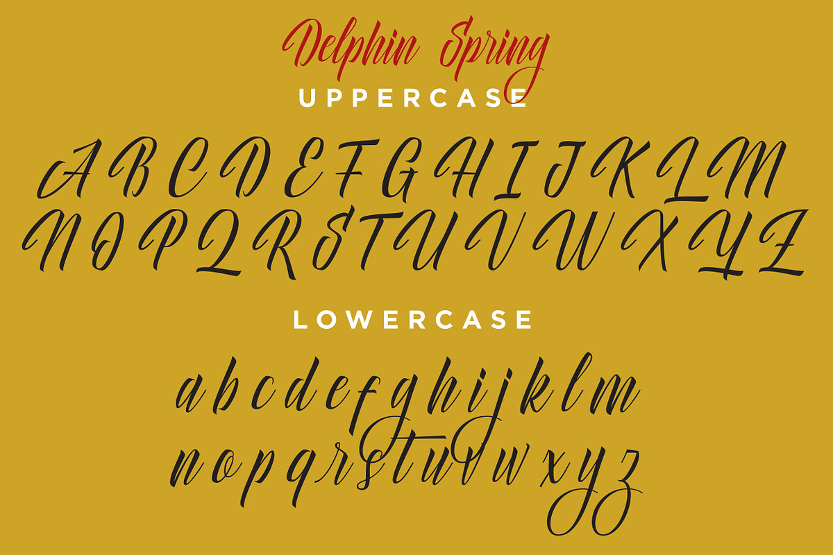 Delphin Spring - Vintage Script, a Script Font by Konstantine Studio (Photo 9 of 9)