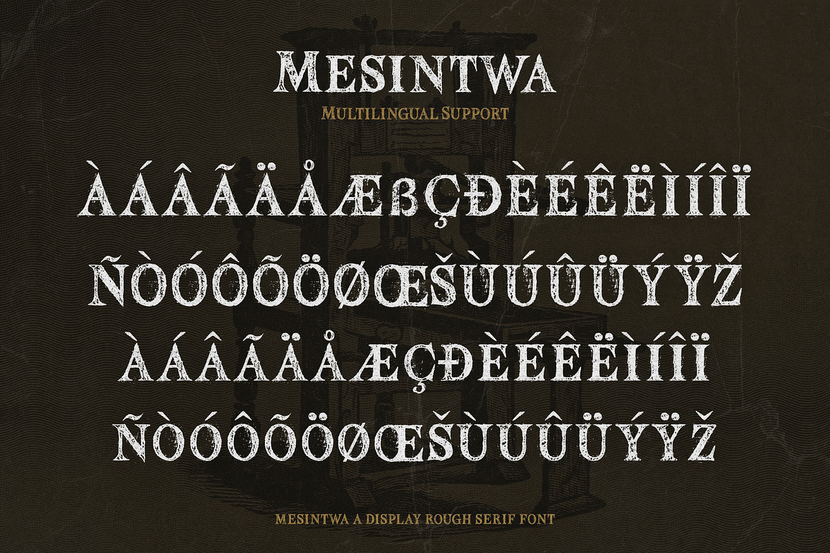 Mesintwa, a Serif Font by ilhamtaro (Photo 9 of 10)