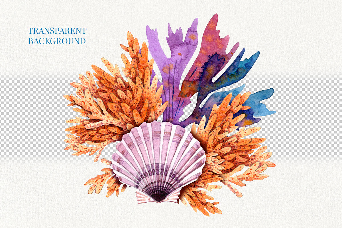 Marine Watercolor Clipart, an Animal Illustration by YarovaArt (Photo 14 of 19)