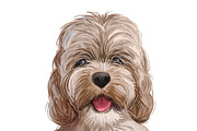 Dogs Cross Breeds 56 Animals Bundle, an Animal Illustration by Dneprstock (Thumbnail 2 of 55)